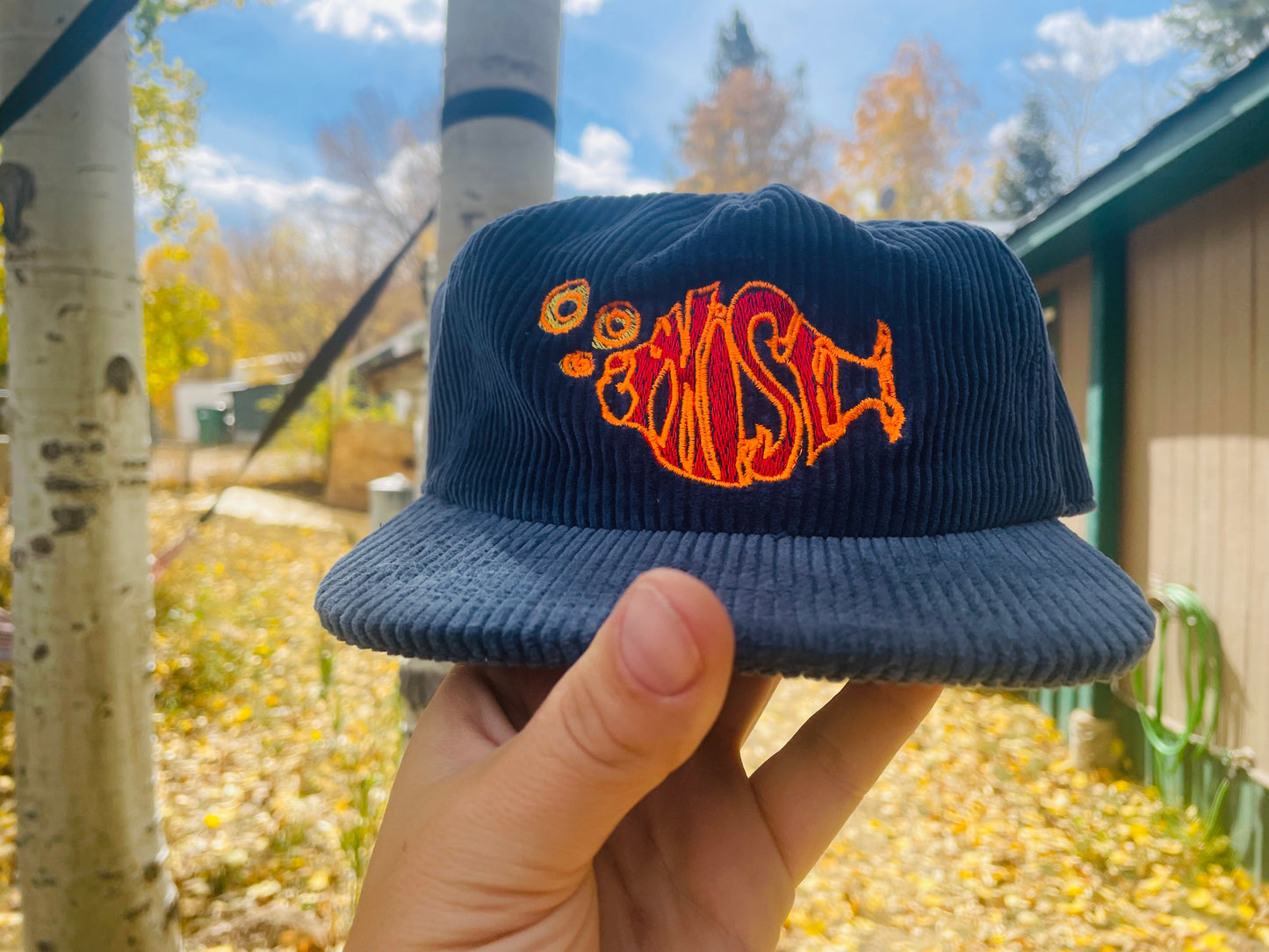 Phish Logo Corduroy Hat